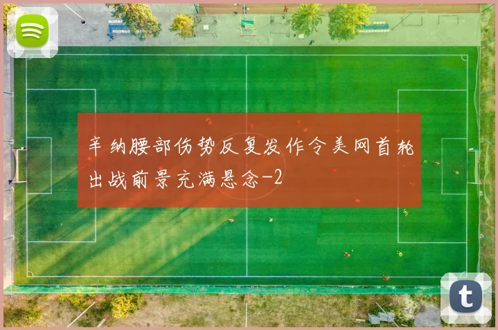 辛纳腰部伤势反复发作令美网首轮出战前景充满悬念