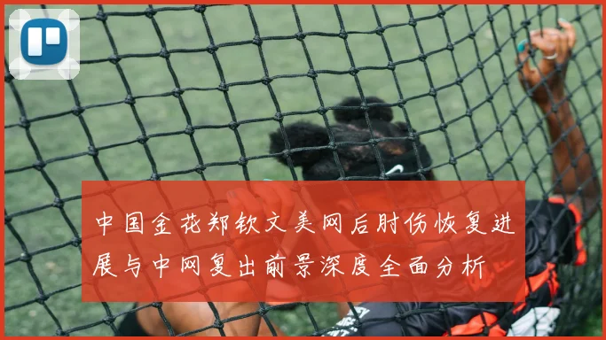 中国金花郑钦文美网后肘伤恢复进展与中网复出前景深度全面分析