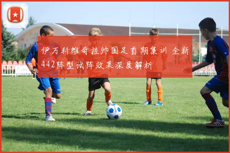 伊万科维奇挂帅国足首期集训 全新442阵型试阵效果深度解析