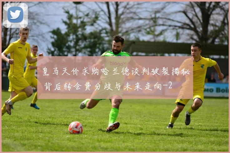 皇马天价求购哈兰德谈判破裂揭秘 背后转会费分歧与未来走向