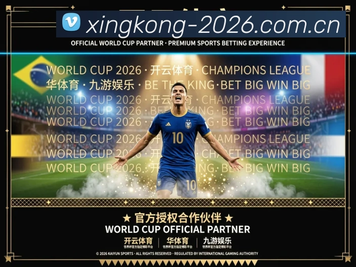 未来规划